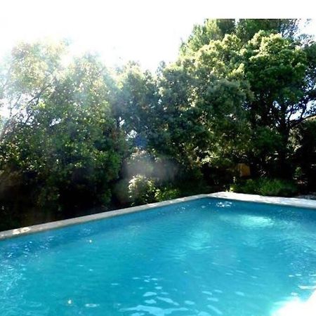 Studio En Rez-De-Jardin Arbore Avec Acces Piscine Et Clim วิลเนิฟ-เลส์-อาวิญง ภายนอก รูปภาพ