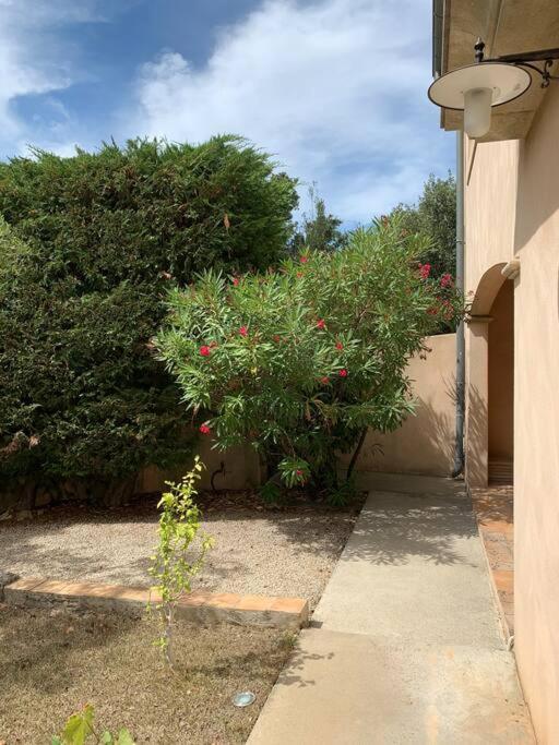 Studio En Rez-De-Jardin Arbore Avec Acces Piscine Et Clim วิลเนิฟ-เลส์-อาวิญง ภายนอก รูปภาพ